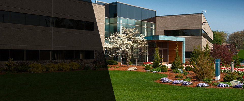 Clifton Landscapers