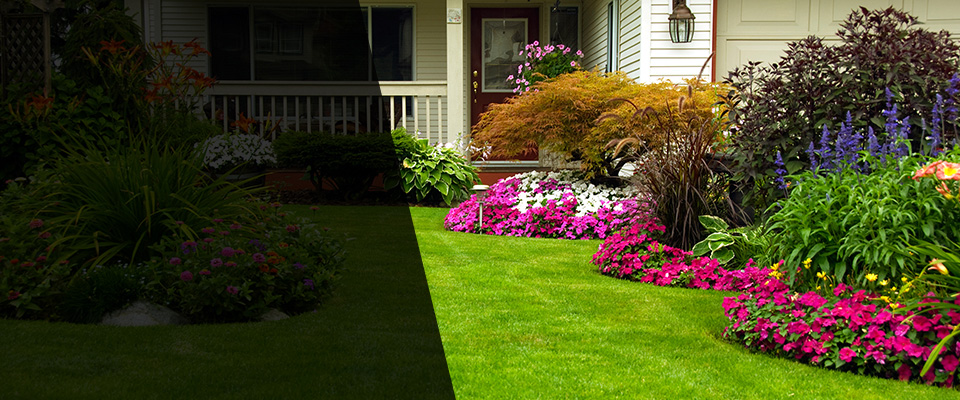 Clifton Landscapers