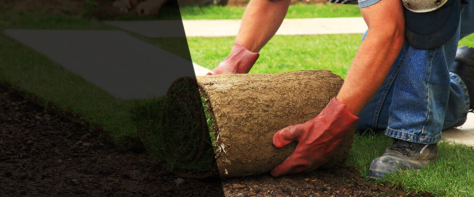 Clifton Landscapers